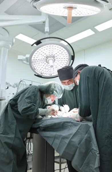 Groupe de chirurgie vétérinaire en salle d'opération — Photo