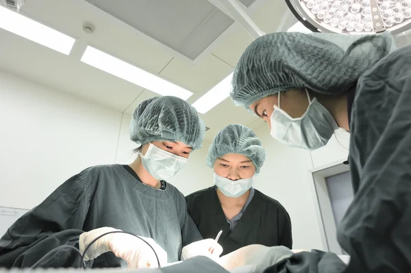 Groupe de chirurgie vétérinaire en salle d'opération — Photo