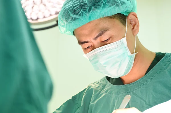 Cirurgia veterinária na sala de operação — Fotografia de Stock