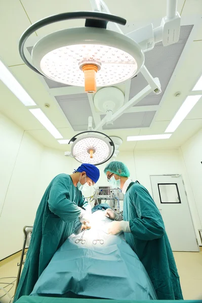 Dois cirurgiões veterinários na sala de operações — Fotografia de Stock