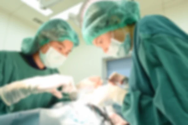 Ameliyathane içinde iki veteriner cerrah bulanıklık — Stok fotoğraf