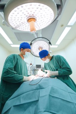 Ameliyathanede iki veteriner cerrah var. 