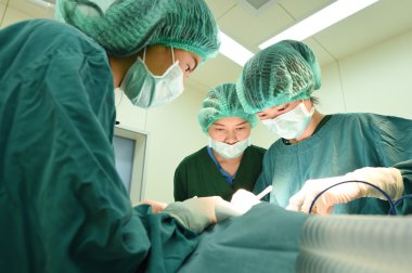 Veteriner Cerrahi operasyon odasında grup 