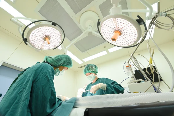 Dois cirurgiões veterinários na sala de operações — Fotografia de Stock