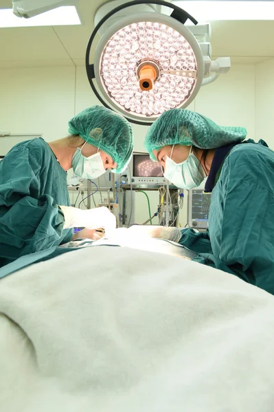 Two veterinarian surgeons in operating room — Stock Photo, Image