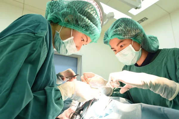 Dos veterinarios en quirófano —  Fotos de Stock