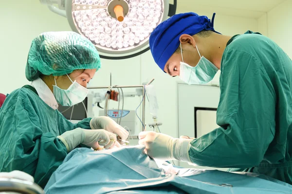 Ameliyathanede iki veteriner cerrah var. 