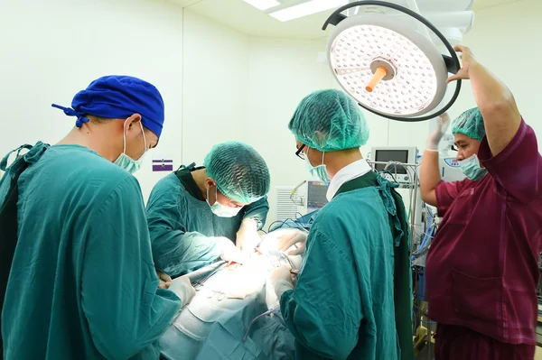 Група ветеринарної хірургії в операційному залі — стокове фото