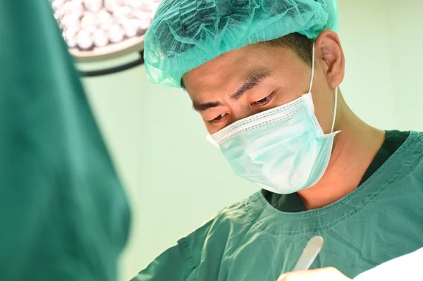 Cirugía veterinaria en sala de operaciones — Foto de Stock