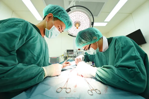 Dois cirurgiões veterinários na sala de operações — Fotografia de Stock