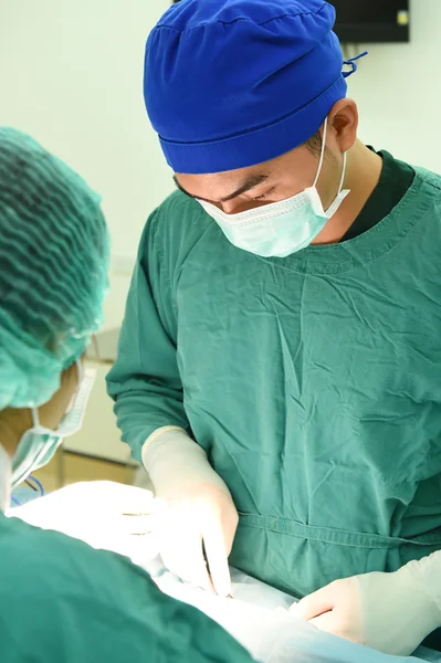 Dois cirurgiões veterinários na sala de operações — Fotografia de Stock