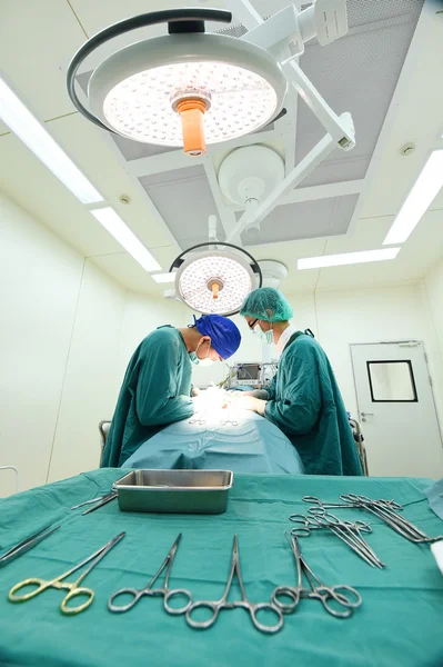 Dois cirurgiões veterinários na sala de operações — Fotografia de Stock