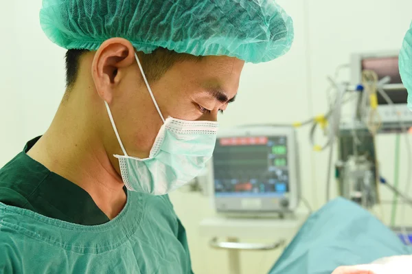 Cirugía veterinaria en sala de operaciones — Foto de Stock