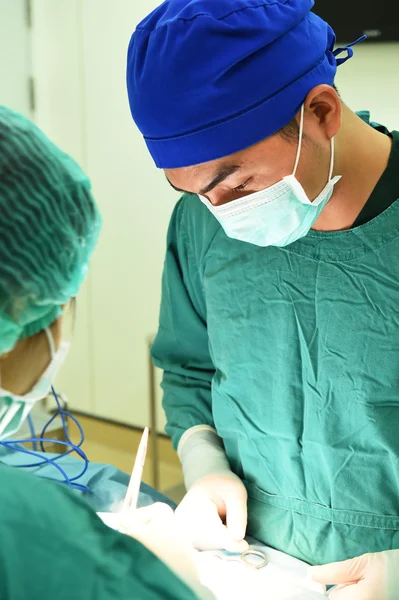 Two veterinarian surgeons in operating room — Stock Photo, Image