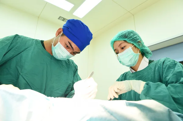 Two veterinarian surgeons in operating room — Stock Photo, Image