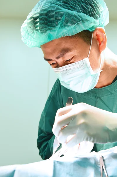 Cirugía veterinaria en sala de operaciones — Foto de Stock