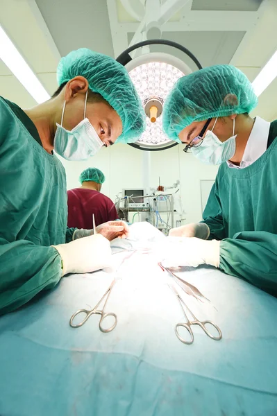 Grupo de cirurgia veterinária na sala de operação — Fotografia de Stock