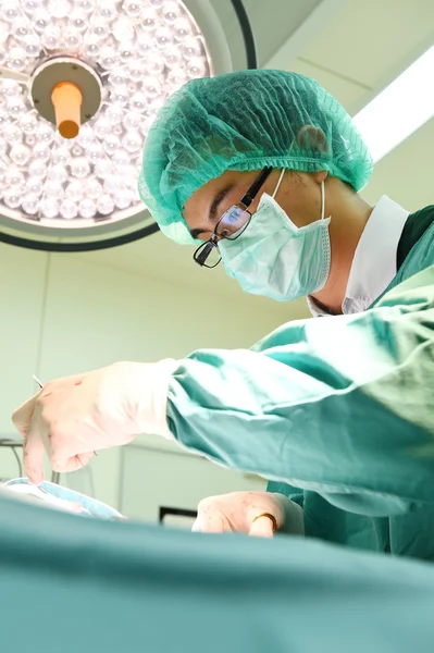 Veterinarian surgery in operation room — Stock Photo, Image