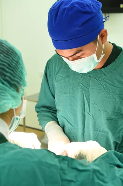 Two veterinarian surgeons in operating room — Stock Photo, Image