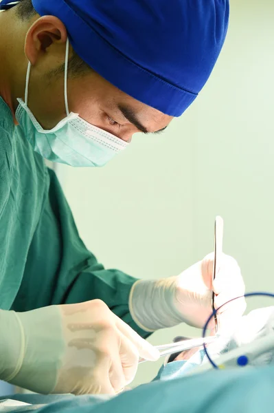 Veterinarian surgery in operation room — Stock Photo, Image