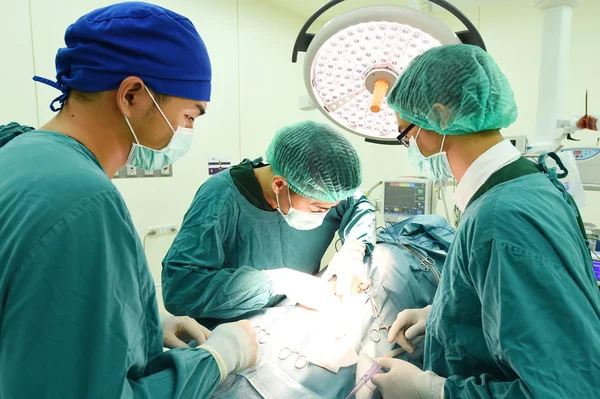 Groep van dierenarts chirurgie in operatie kamer — Stockfoto