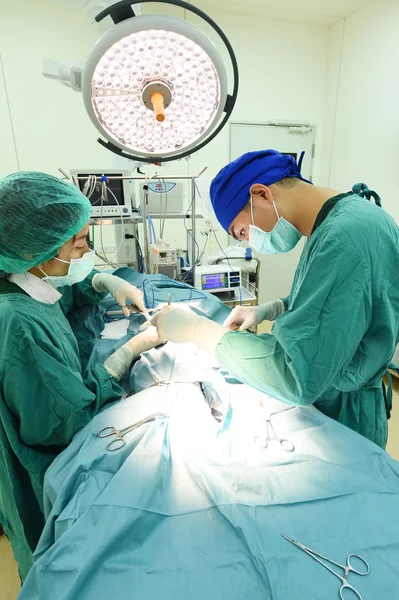 Dois cirurgiões veterinários na sala de operações — Fotografia de Stock