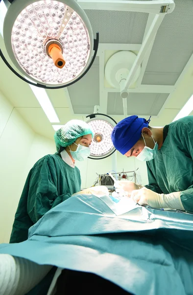 Dois cirurgiões veterinários na sala de operações — Fotografia de Stock