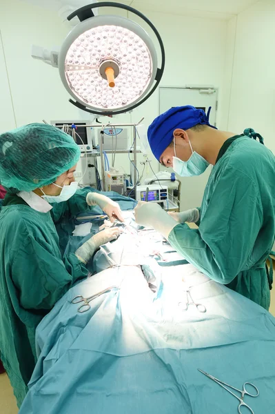 Dos veterinarios en quirófano —  Fotos de Stock