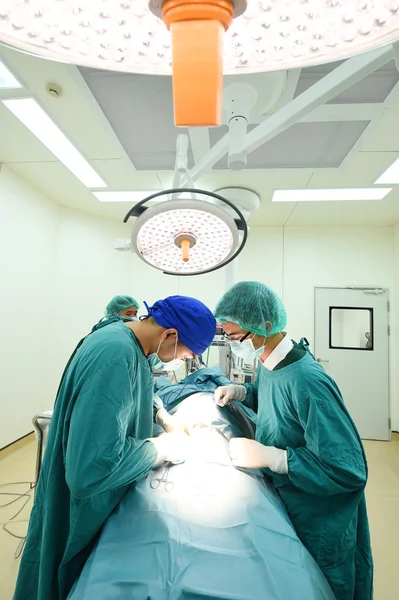 Zwei Tierärzte im Operationssaal — Stockfoto
