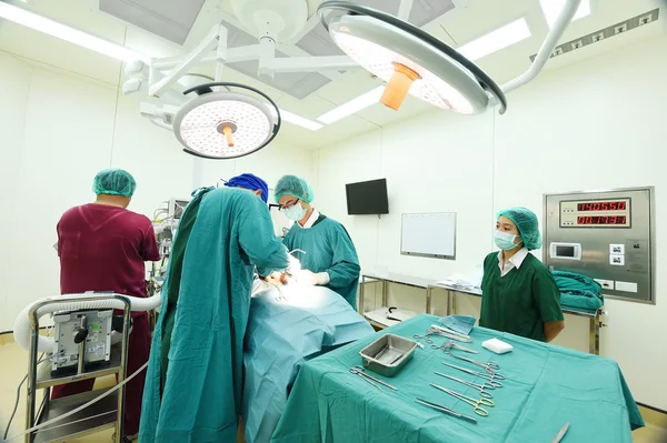 Grupo de cirurgia veterinária na sala de operação — Fotografia de Stock