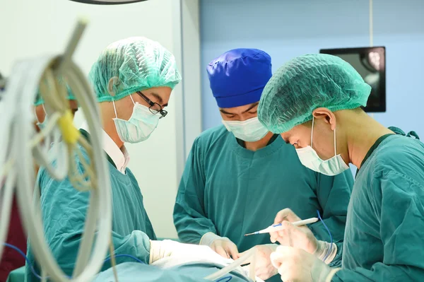 Groep van dierenarts chirurgie in operatie kamer — Stockfoto