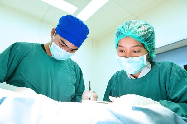 Two veterinarian surgeons in operating room — Stock Photo, Image