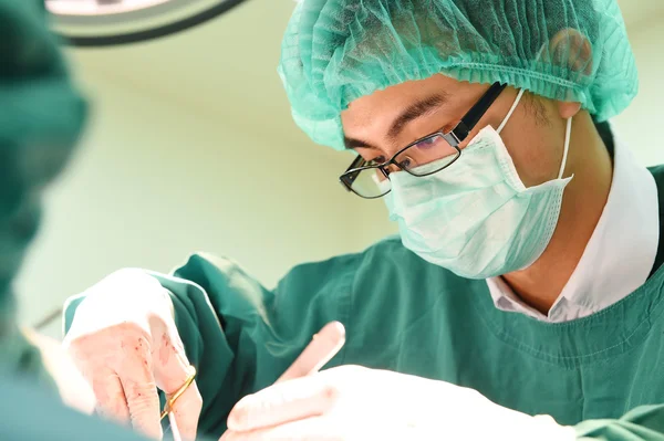 Veterinarian surgery in operation room — Stock Photo, Image