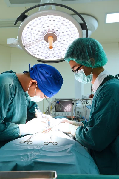 Dois cirurgiões veterinários na sala de operações — Fotografia de Stock