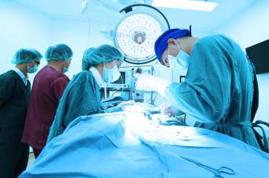 Veteriner Cerrahi operasyon odasında grup 