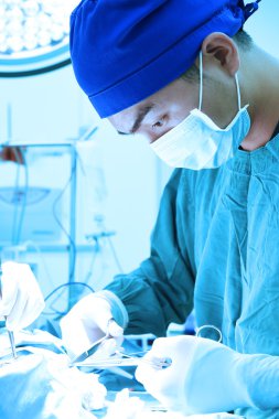 Veteriner Cerrahi operasyon odasında 