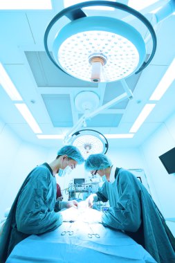 Ameliyathanede iki veteriner cerrah var. 