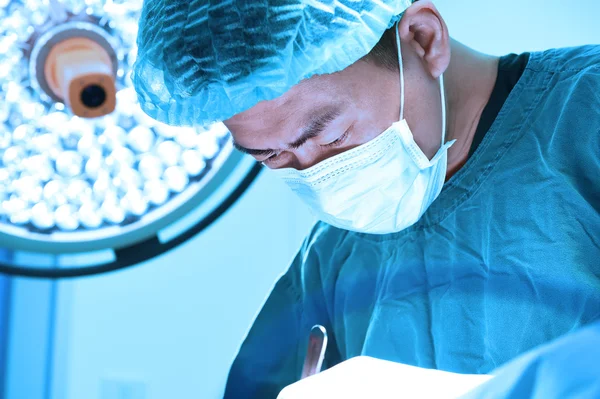 Cirugía veterinaria en sala de operaciones — Foto de Stock