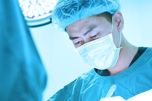 Chirurgie vétérinaire en salle d'opération — Photo