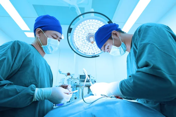 Dois cirurgiões veterinários na sala de operações — Fotografia de Stock