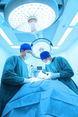 Ameliyathanede iki veteriner cerrah var. 