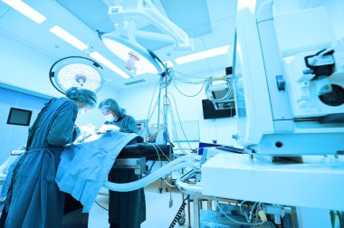 Ameliyathanede iki veteriner cerrah var.