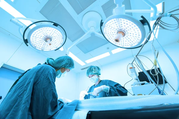 Two veterinarian surgeons in operating room — Stock Photo, Image