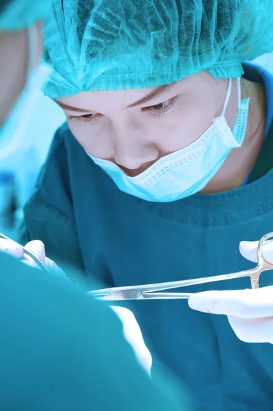 Veterinarian surgery in operation room — Stock Photo, Image