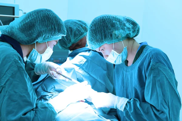 Group of veterinarian surgery in operation room — Stock Photo, Image