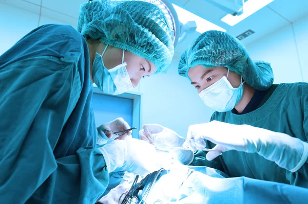 Dois cirurgiões veterinários na sala de operações — Fotografia de Stock