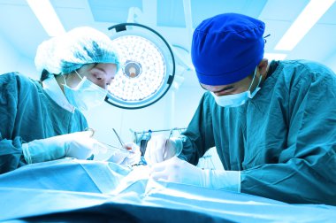Ameliyathanede iki veteriner cerrah var. 