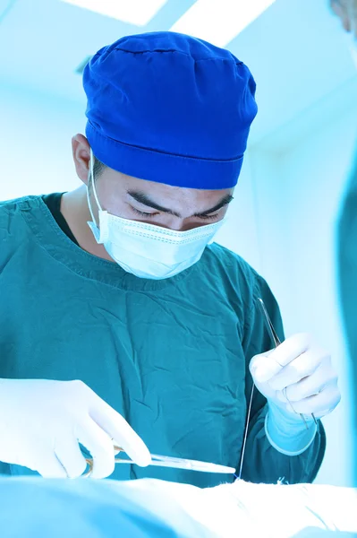 Cirurgia veterinária na sala de operação — Fotografia de Stock