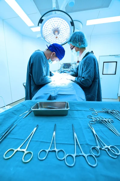 Two veterinarian surgeons in operating room — Stock Photo, Image