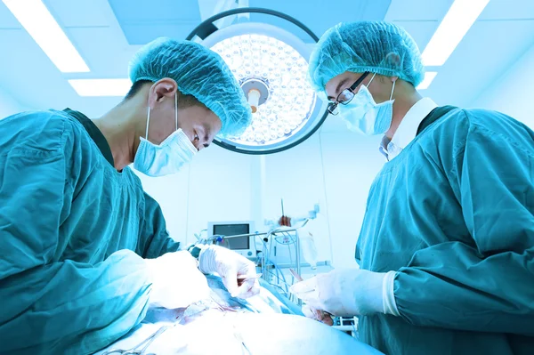 Dois cirurgiões veterinários na sala de operações — Fotografia de Stock